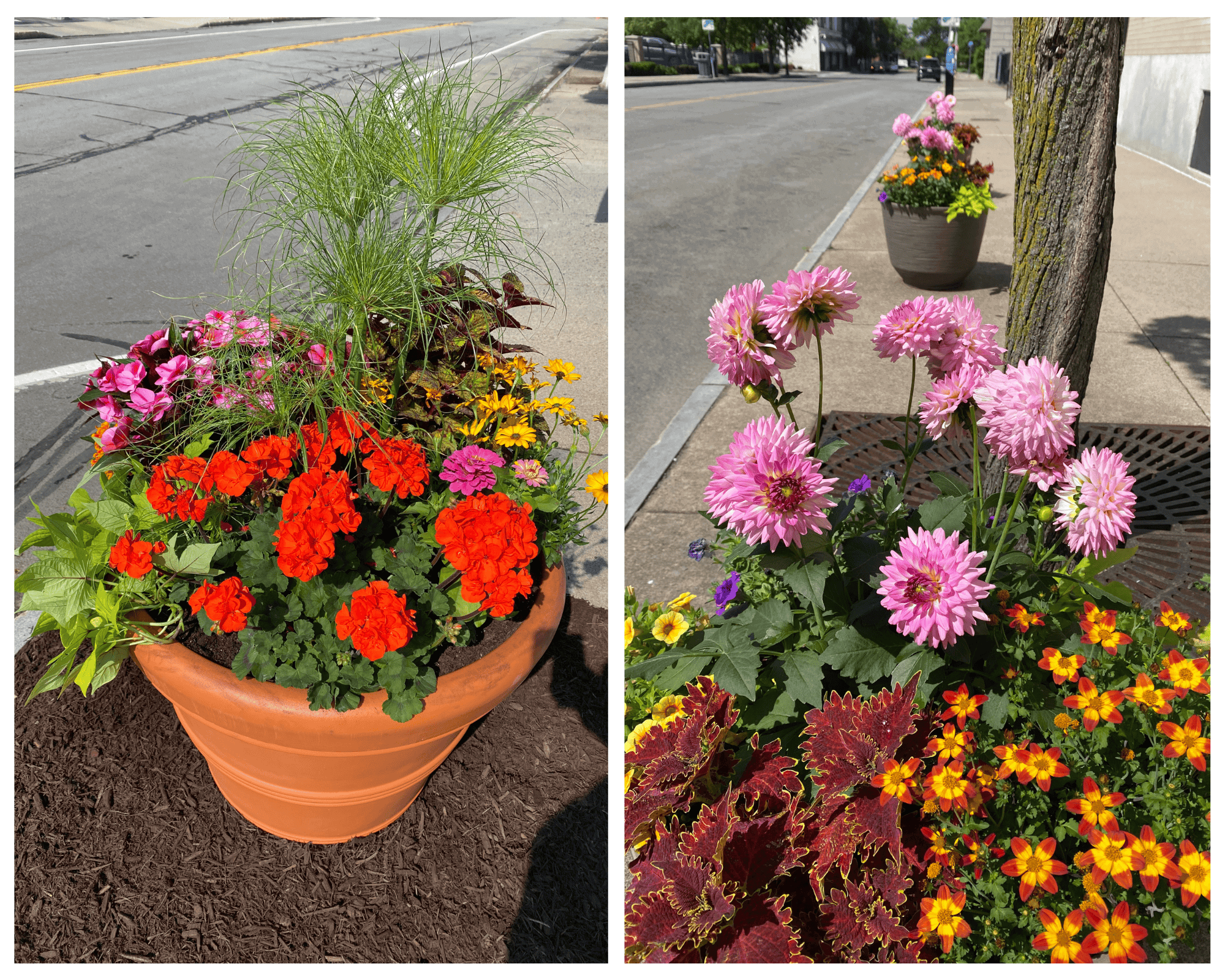 Downtown ROCs July 2025 Update