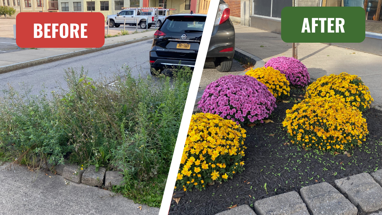 Tree Well on East Ave