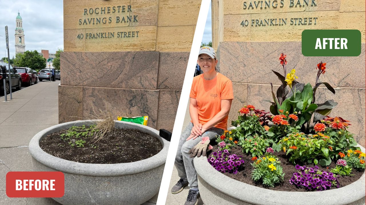 Planters outside RIT CUE