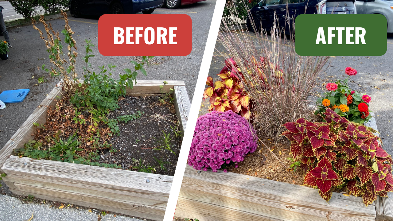 Downtown ROCs September 2025 Update